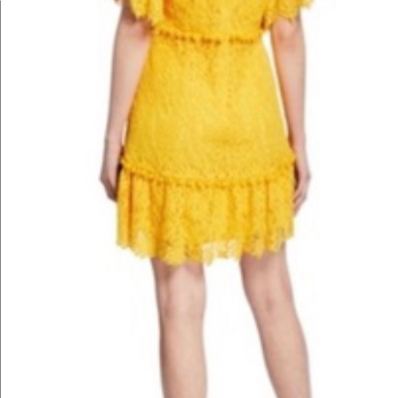 Nanatte Floral Lace Ruffle Pompom Mini Dress - Picture 3 of 5